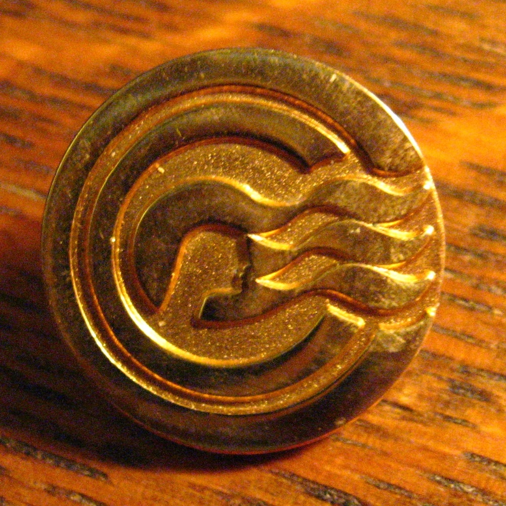 🛳 Princess Cruise Line President's Circle Lapel Pin